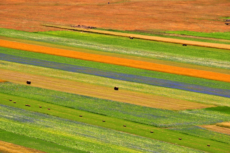 Concorso fotografico - aiuto scelta foto